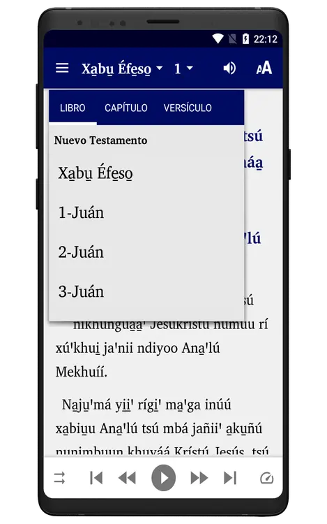 biblia_tpl_audio_interfaz